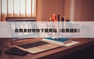 宁阳白鹅素材特效下载网站（白鹅摄影）
